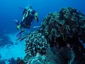 Fish Cave